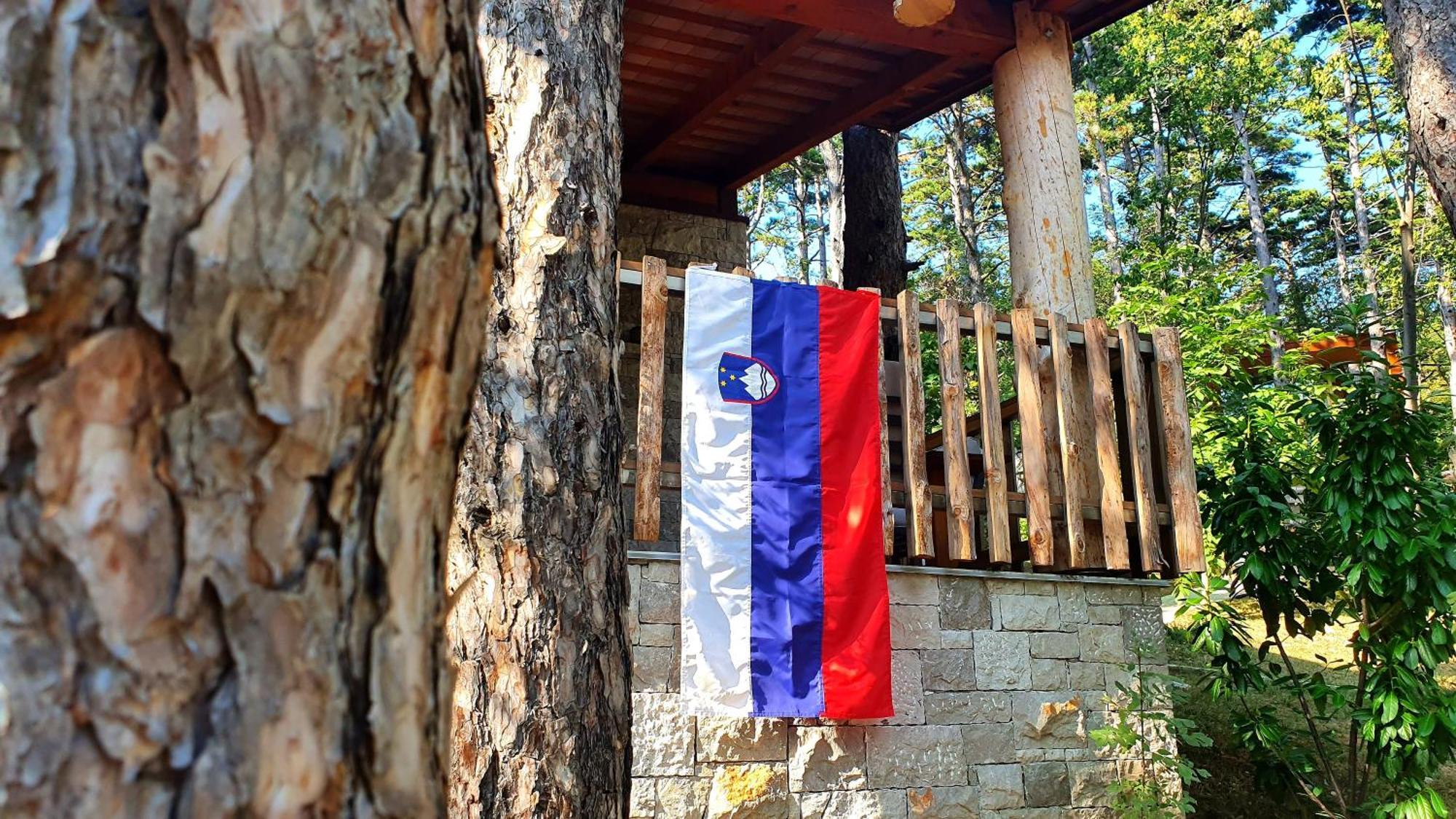 Theodosius Forest Village - Glamping In Vipava Valley Kültér fotó