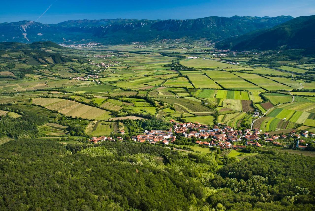 Theodosius Forest Village - Glamping In Vipava Valley Kültér fotó